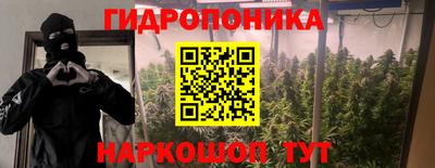 спайс Можга
