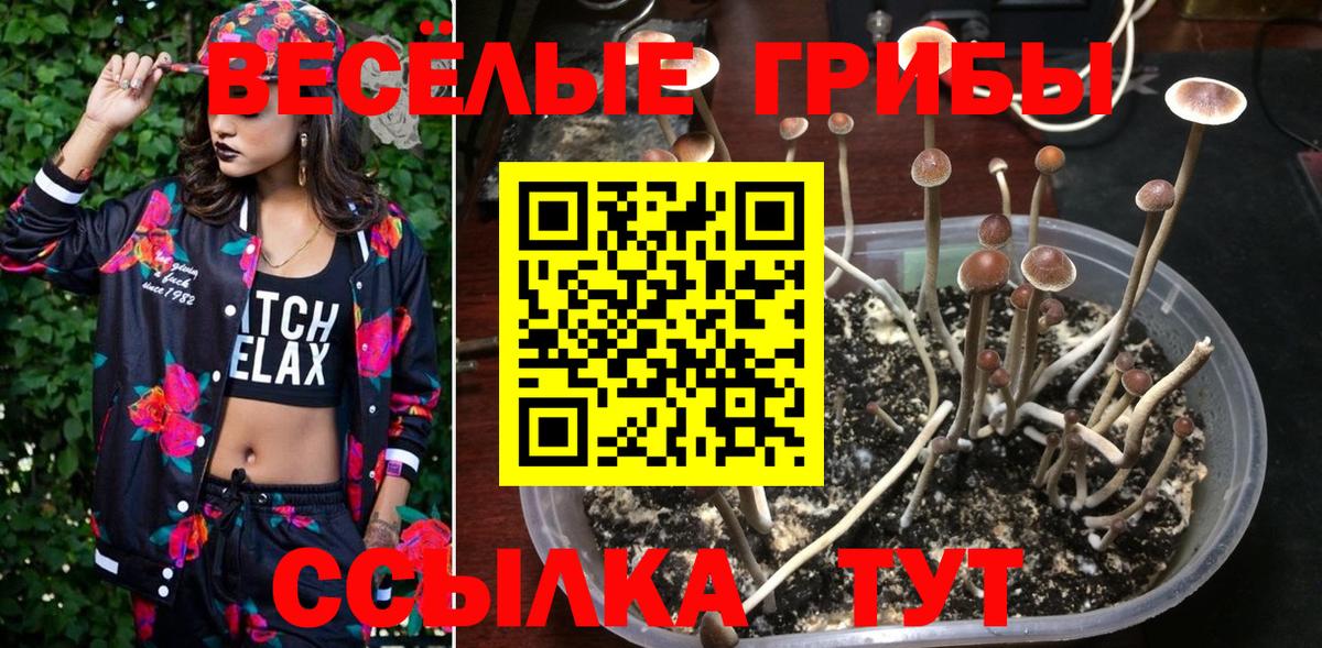 Псилоцибиновые грибы мухоморы Чебоксары