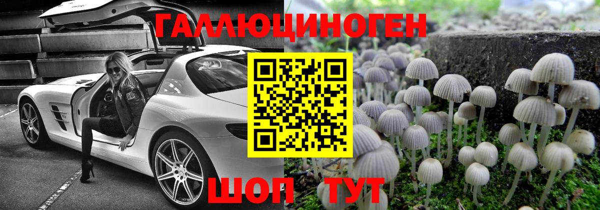 как найти закладки  Галлюциногенные грибы Psilocybe  Вход с VPN  Чебоксары 